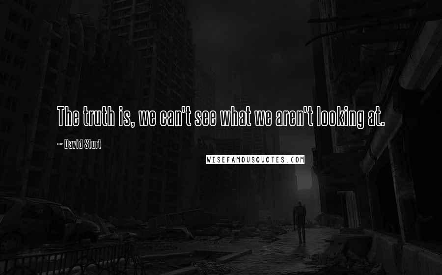 David Sturt Quotes: The truth is, we can't see what we aren't looking at.