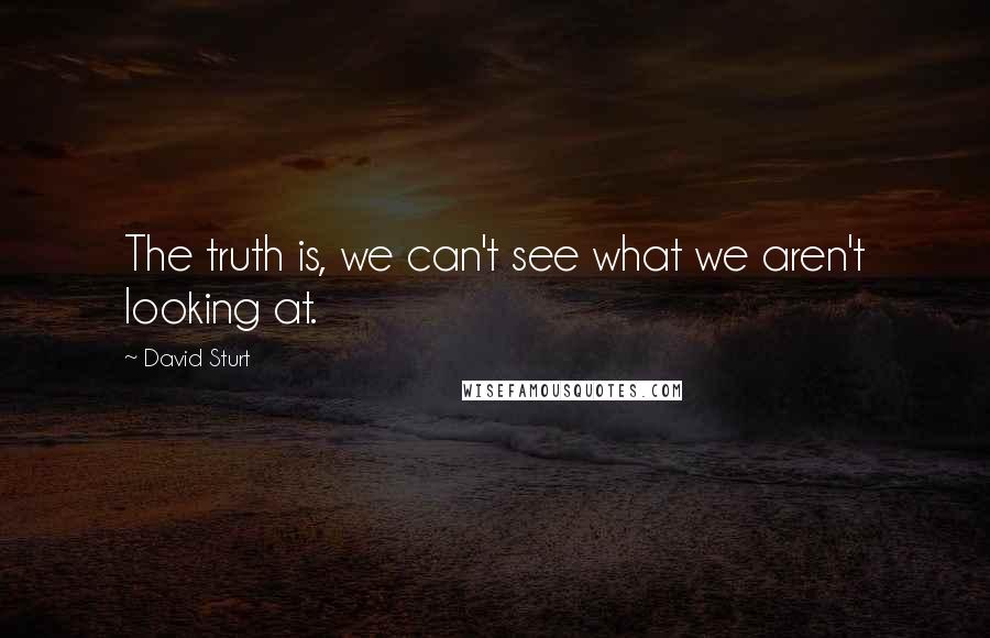 David Sturt Quotes: The truth is, we can't see what we aren't looking at.