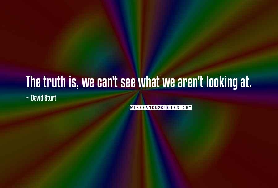 David Sturt Quotes: The truth is, we can't see what we aren't looking at.