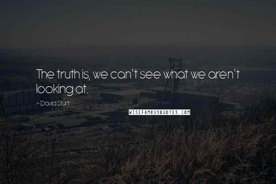 David Sturt Quotes: The truth is, we can't see what we aren't looking at.