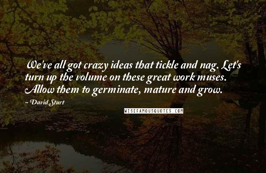 David Sturt Quotes: We've all got crazy ideas that tickle and nag. Let's turn up the volume on these great work muses. Allow them to germinate, mature and grow.