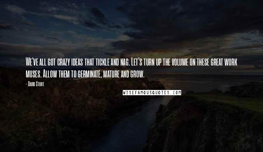 David Sturt Quotes: We've all got crazy ideas that tickle and nag. Let's turn up the volume on these great work muses. Allow them to germinate, mature and grow.