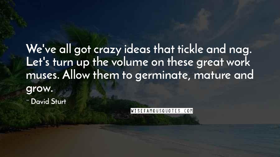 David Sturt Quotes: We've all got crazy ideas that tickle and nag. Let's turn up the volume on these great work muses. Allow them to germinate, mature and grow.