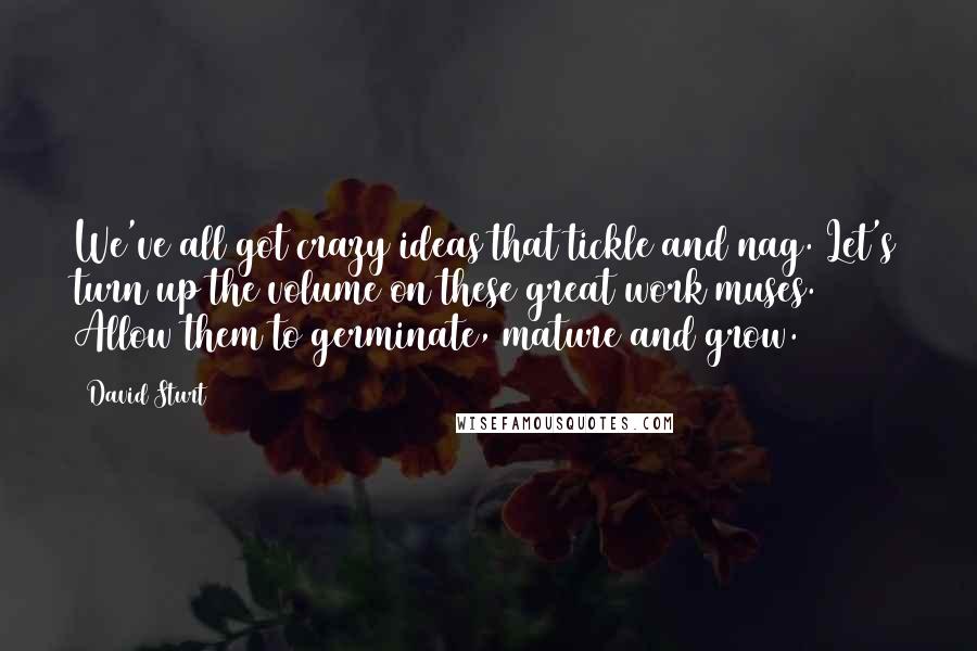 David Sturt Quotes: We've all got crazy ideas that tickle and nag. Let's turn up the volume on these great work muses. Allow them to germinate, mature and grow.