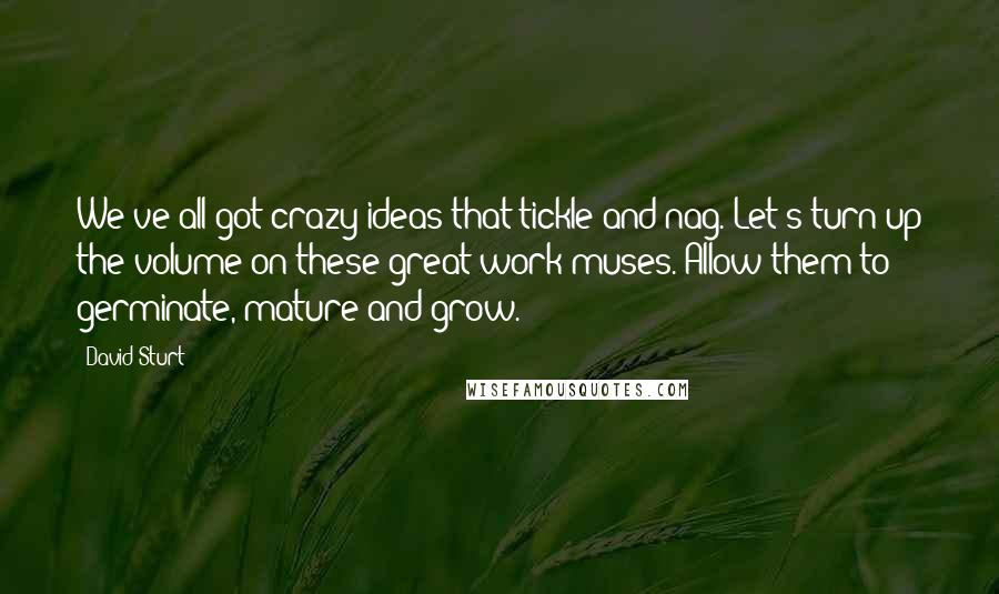 David Sturt Quotes: We've all got crazy ideas that tickle and nag. Let's turn up the volume on these great work muses. Allow them to germinate, mature and grow.
