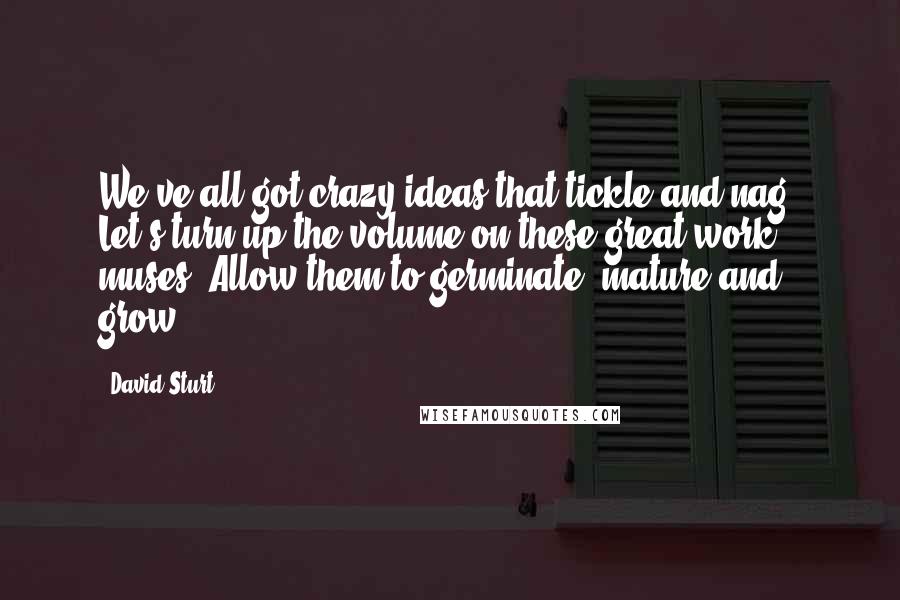 David Sturt Quotes: We've all got crazy ideas that tickle and nag. Let's turn up the volume on these great work muses. Allow them to germinate, mature and grow.