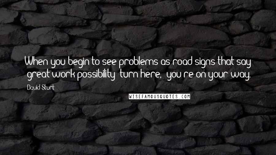 David Sturt Quotes: When you begin to see problems as road signs that say "great work possibility; turn here," you're on your way.