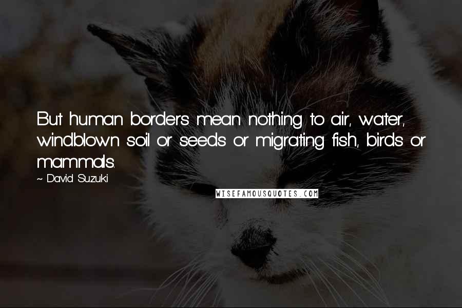 David Suzuki Quotes: But human borders mean nothing to air, water, windblown soil or seeds or migrating fish, birds or mammals.