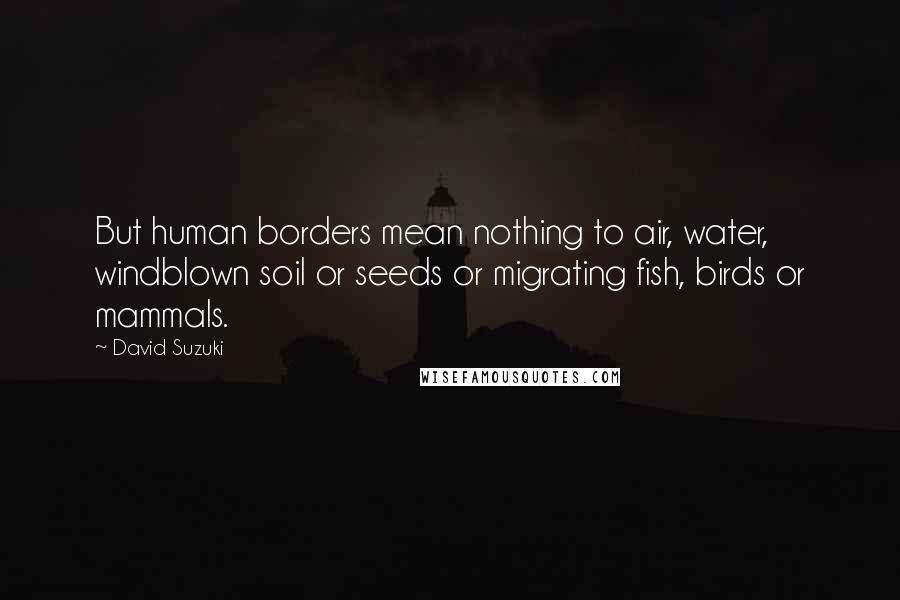 David Suzuki Quotes: But human borders mean nothing to air, water, windblown soil or seeds or migrating fish, birds or mammals.