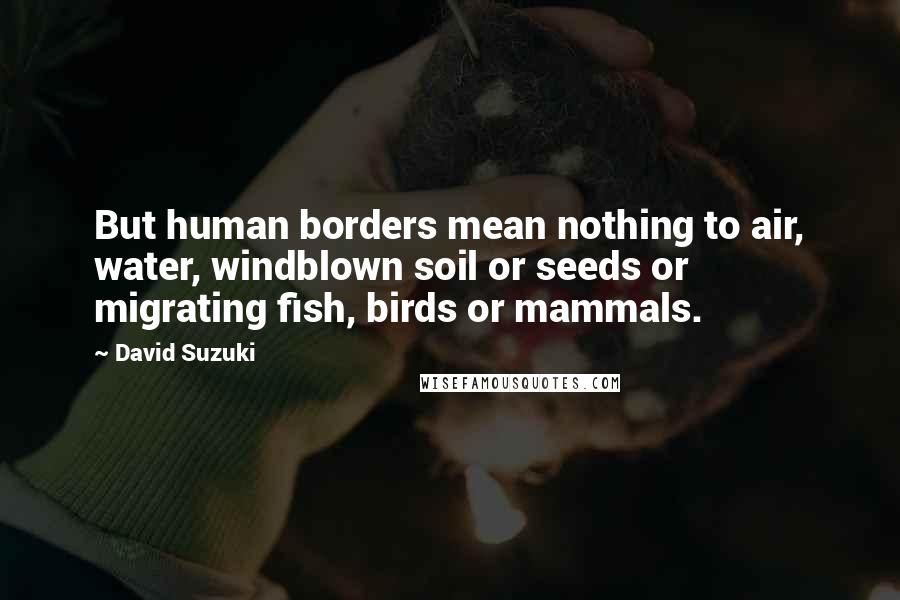 David Suzuki Quotes: But human borders mean nothing to air, water, windblown soil or seeds or migrating fish, birds or mammals.