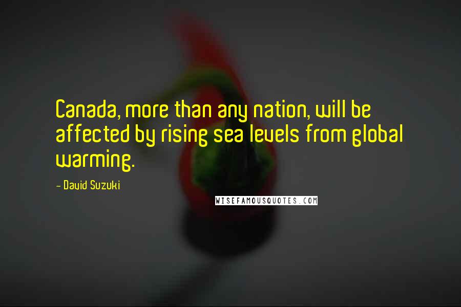 David Suzuki Quotes: Canada, more than any nation, will be affected by rising sea levels from global warming.