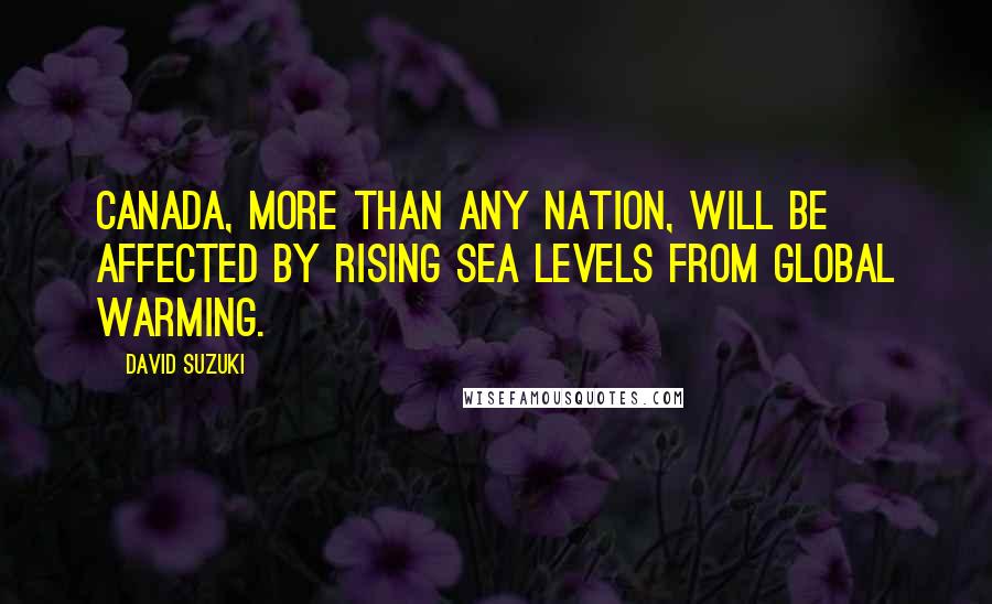 David Suzuki Quotes: Canada, more than any nation, will be affected by rising sea levels from global warming.