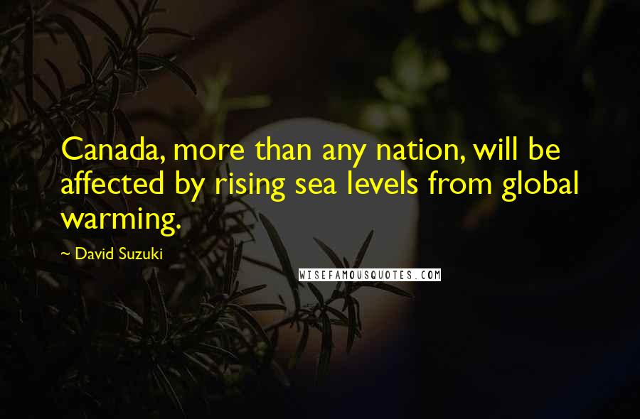 David Suzuki Quotes: Canada, more than any nation, will be affected by rising sea levels from global warming.