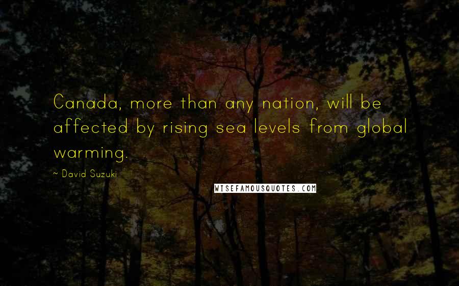 David Suzuki Quotes: Canada, more than any nation, will be affected by rising sea levels from global warming.