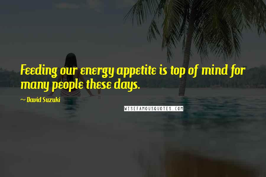 David Suzuki Quotes: Feeding our energy appetite is top of mind for many people these days.