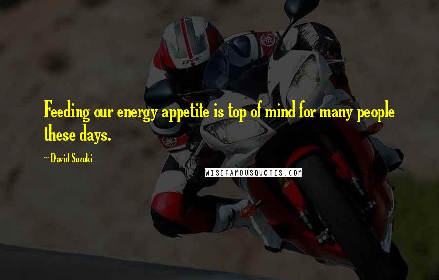 David Suzuki Quotes: Feeding our energy appetite is top of mind for many people these days.
