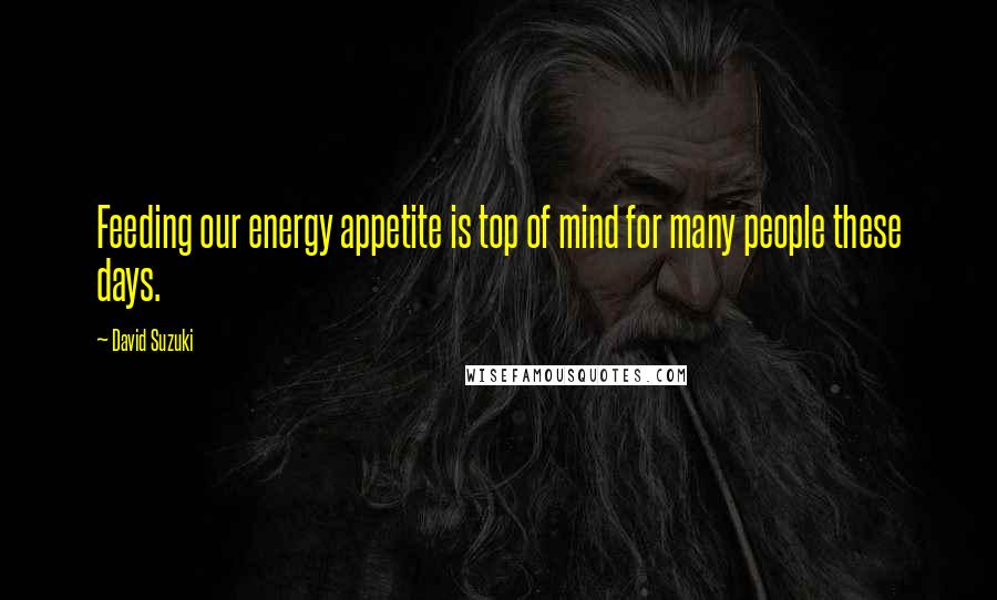 David Suzuki Quotes: Feeding our energy appetite is top of mind for many people these days.