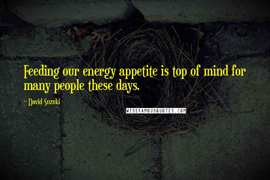 David Suzuki Quotes: Feeding our energy appetite is top of mind for many people these days.