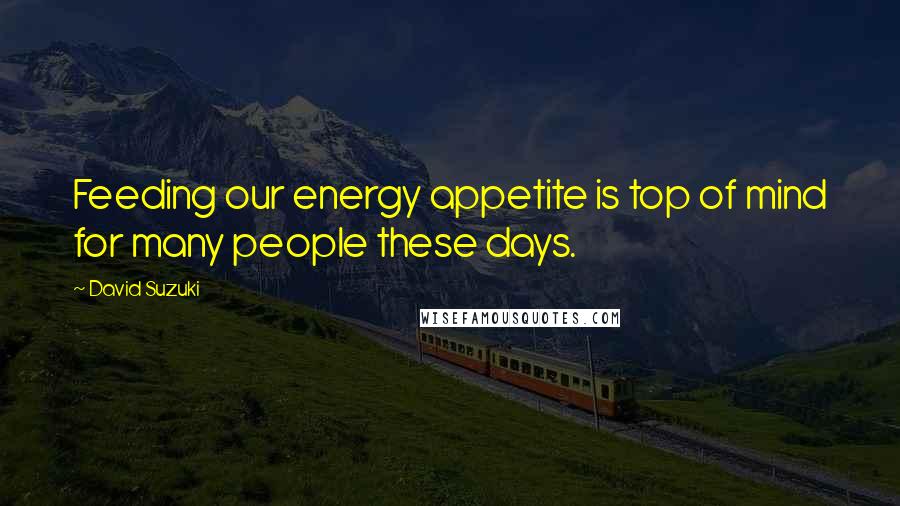 David Suzuki Quotes: Feeding our energy appetite is top of mind for many people these days.