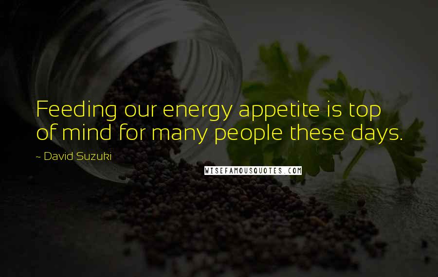 David Suzuki Quotes: Feeding our energy appetite is top of mind for many people these days.