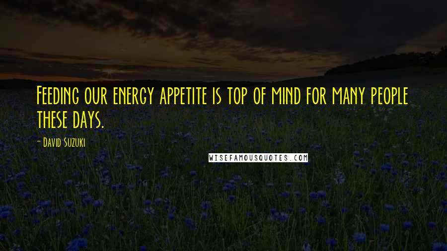 David Suzuki Quotes: Feeding our energy appetite is top of mind for many people these days.