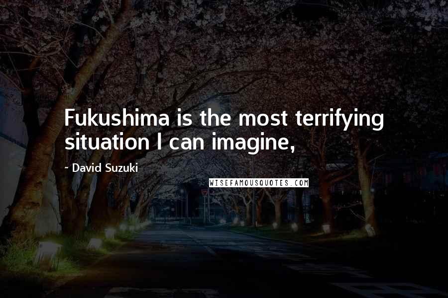 David Suzuki Quotes: Fukushima is the most terrifying situation I can imagine,