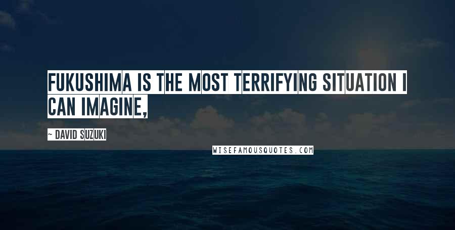 David Suzuki Quotes: Fukushima is the most terrifying situation I can imagine,