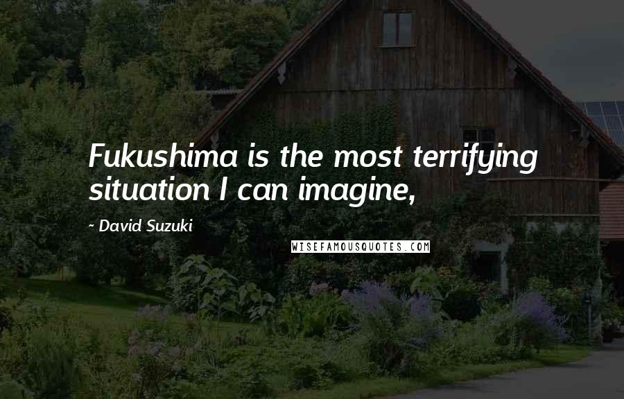 David Suzuki Quotes: Fukushima is the most terrifying situation I can imagine,