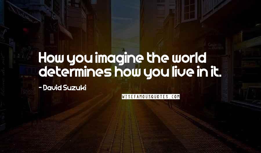 David Suzuki Quotes: How you imagine the world determines how you live in it.
