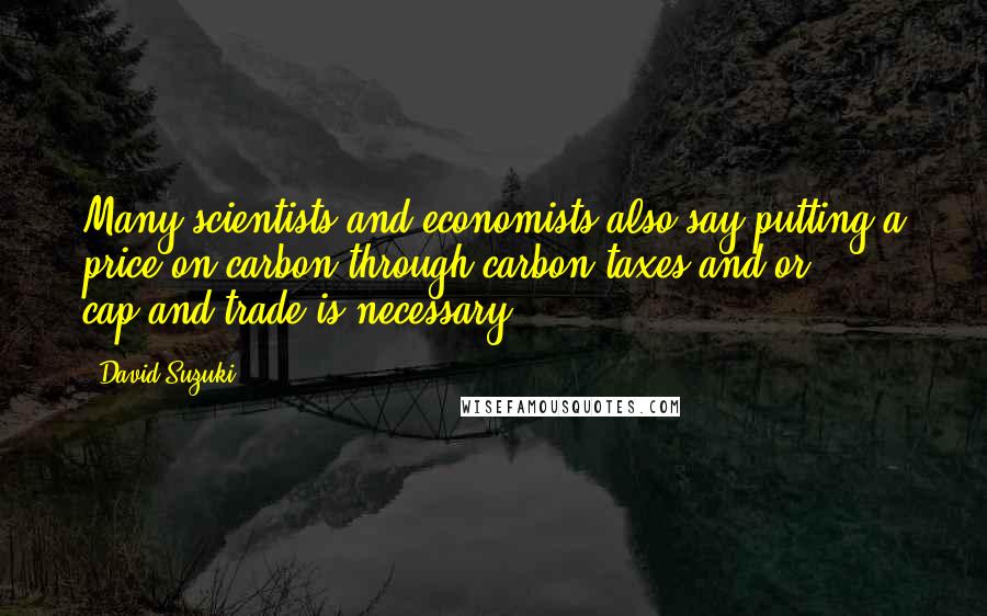 David Suzuki Quotes: Many scientists and economists also say putting a price on carbon through carbon taxes and/or cap-and-trade is necessary.