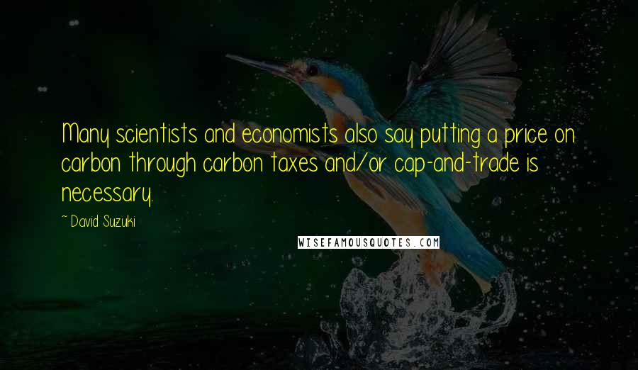 David Suzuki Quotes: Many scientists and economists also say putting a price on carbon through carbon taxes and/or cap-and-trade is necessary.