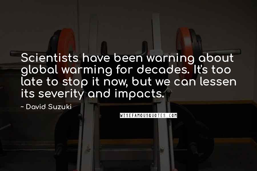 David Suzuki Quotes: Scientists have been warning about global warming for decades. It's too late to stop it now, but we can lessen its severity and impacts.