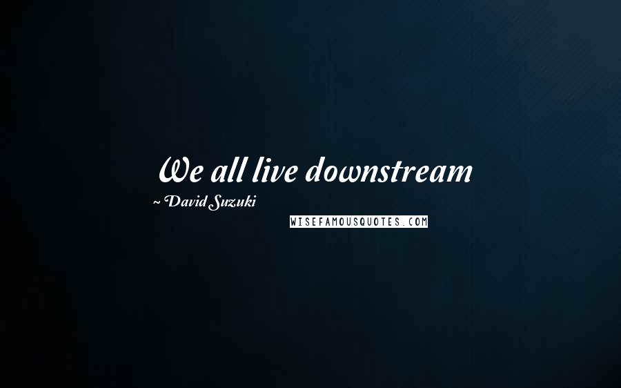 David Suzuki Quotes: We all live downstream