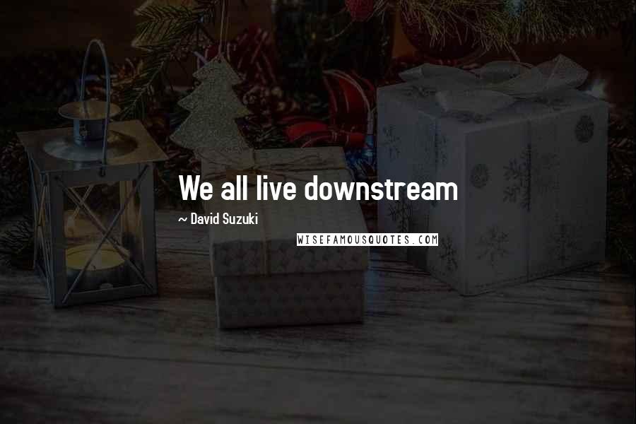 David Suzuki Quotes: We all live downstream