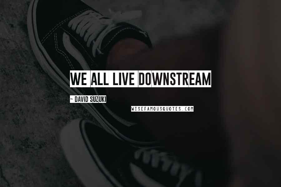 David Suzuki Quotes: We all live downstream