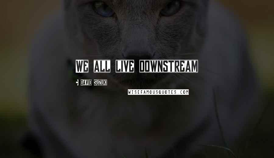 David Suzuki Quotes: We all live downstream