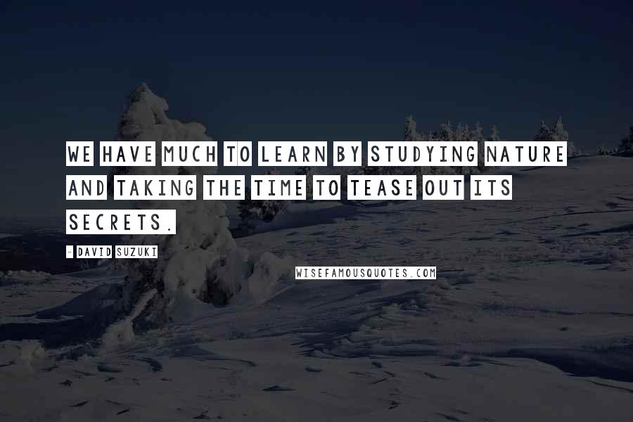 David Suzuki Quotes: We have much to learn by studying nature and taking the time to tease out its secrets.