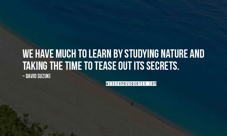David Suzuki Quotes: We have much to learn by studying nature and taking the time to tease out its secrets.