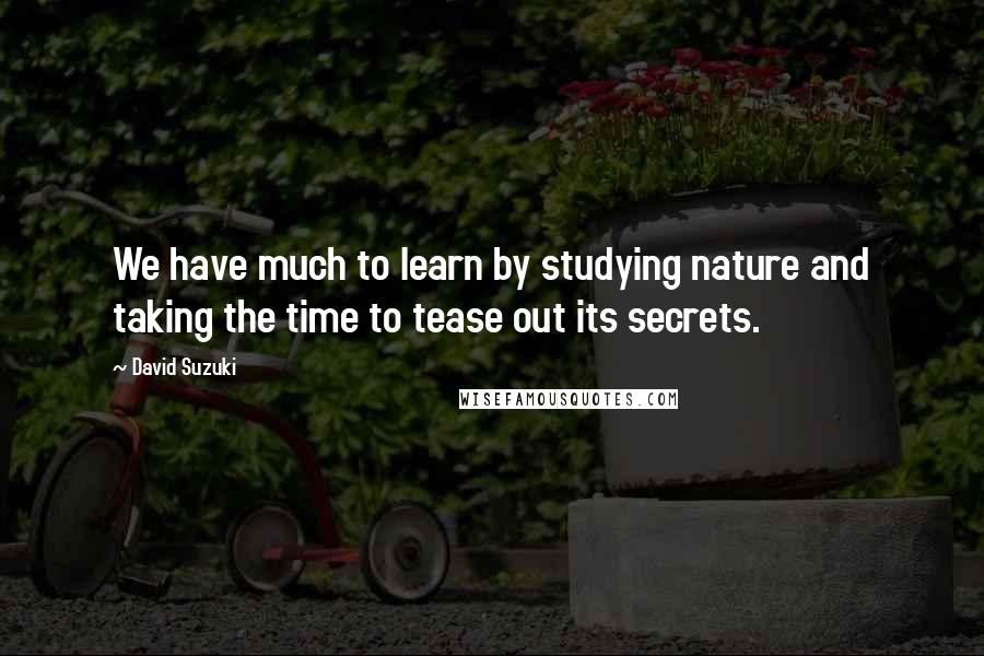 David Suzuki Quotes: We have much to learn by studying nature and taking the time to tease out its secrets.