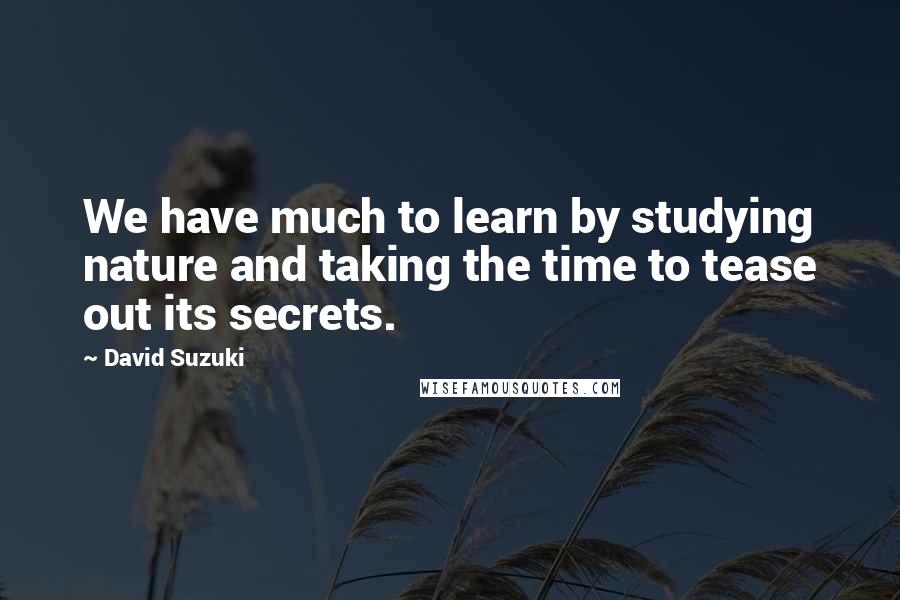 David Suzuki Quotes: We have much to learn by studying nature and taking the time to tease out its secrets.