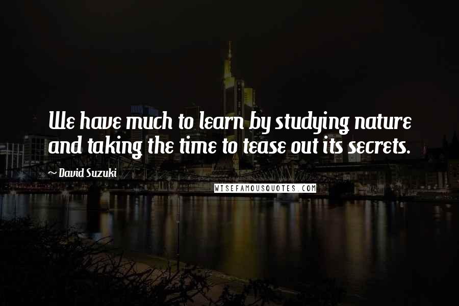 David Suzuki Quotes: We have much to learn by studying nature and taking the time to tease out its secrets.