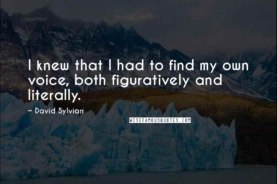 David Sylvian Quotes: I knew that I had to find my own voice, both figuratively and literally.