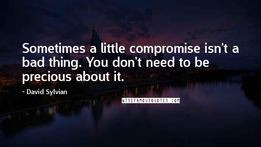 David Sylvian Quotes: Sometimes a little compromise isn't a bad thing. You don't need to be precious about it.