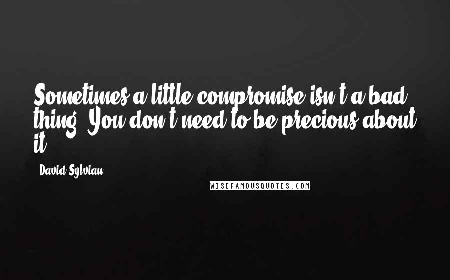 David Sylvian Quotes: Sometimes a little compromise isn't a bad thing. You don't need to be precious about it.