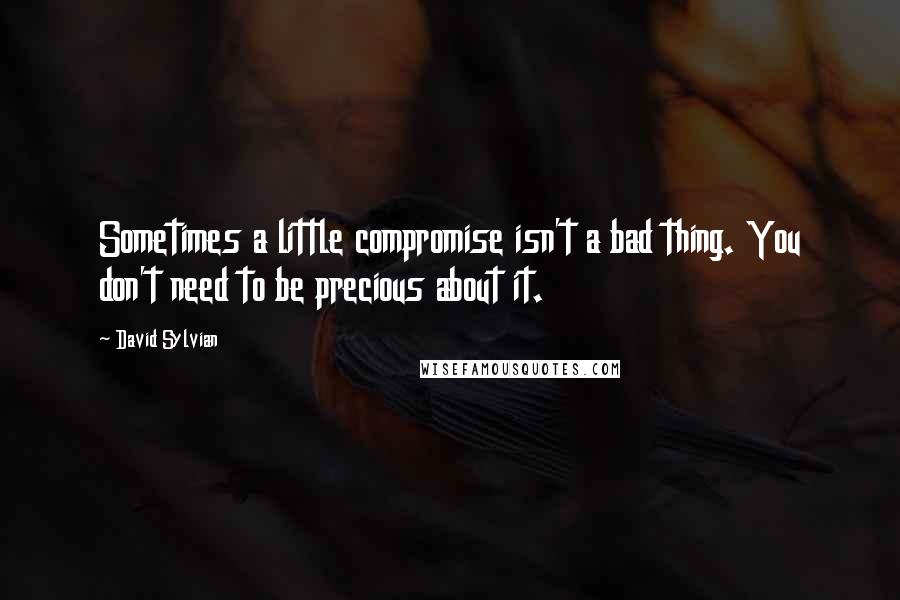 David Sylvian Quotes: Sometimes a little compromise isn't a bad thing. You don't need to be precious about it.