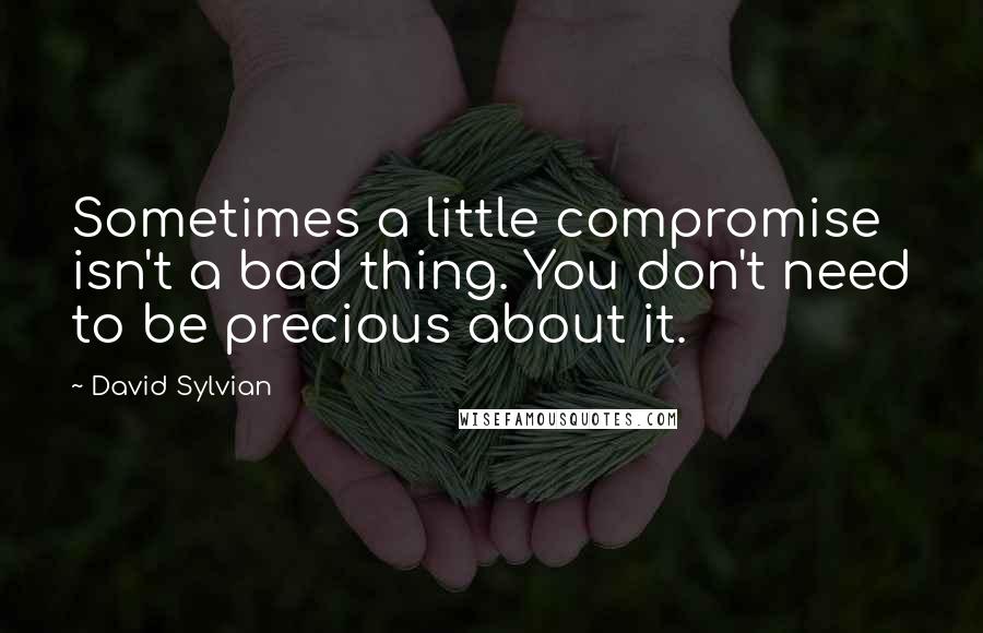 David Sylvian Quotes: Sometimes a little compromise isn't a bad thing. You don't need to be precious about it.