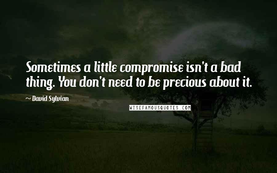 David Sylvian Quotes: Sometimes a little compromise isn't a bad thing. You don't need to be precious about it.