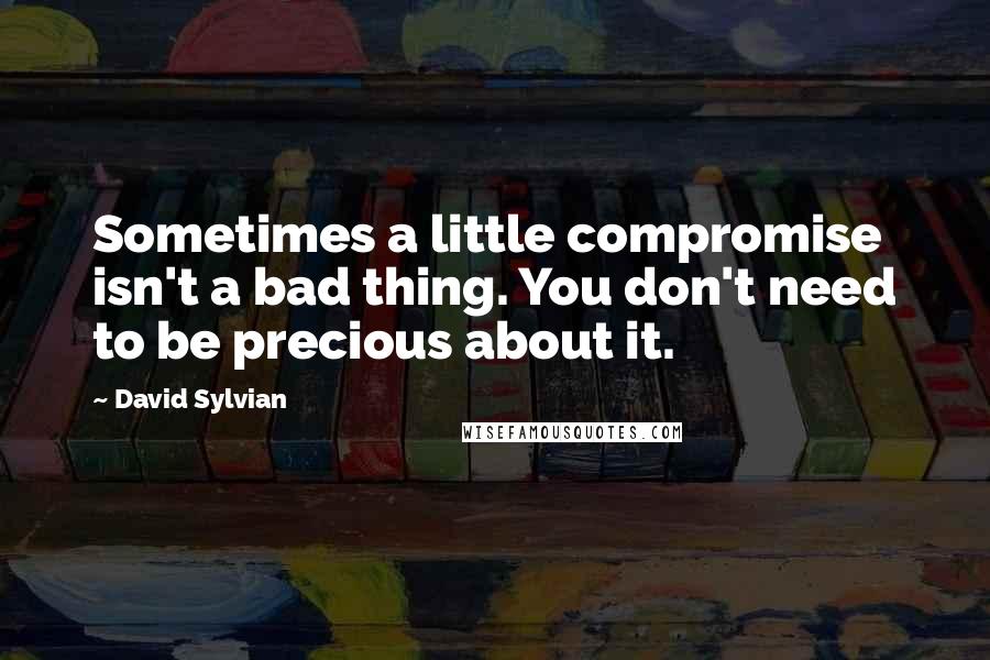 David Sylvian Quotes: Sometimes a little compromise isn't a bad thing. You don't need to be precious about it.