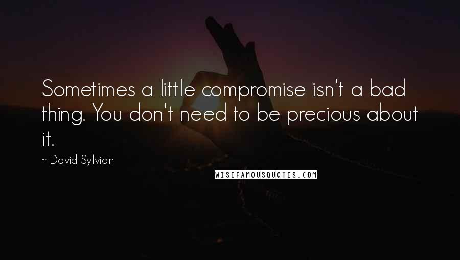 David Sylvian Quotes: Sometimes a little compromise isn't a bad thing. You don't need to be precious about it.