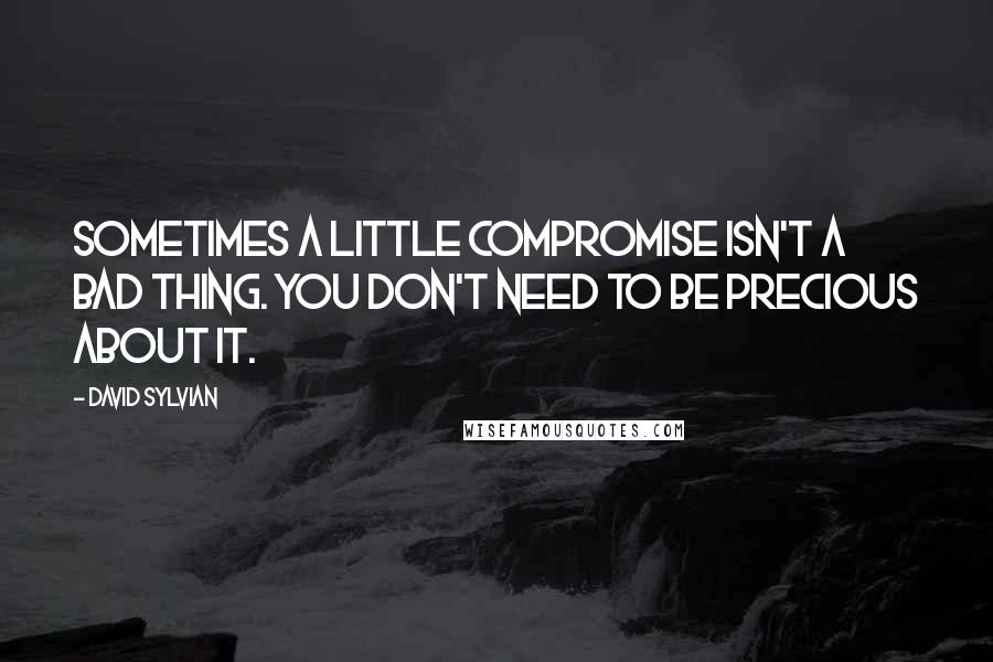 David Sylvian Quotes: Sometimes a little compromise isn't a bad thing. You don't need to be precious about it.